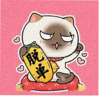 用户周迟的头像